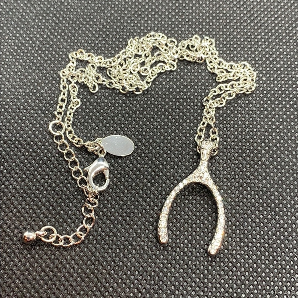 Real Collectibles by Adrienne Wishbone Necklace